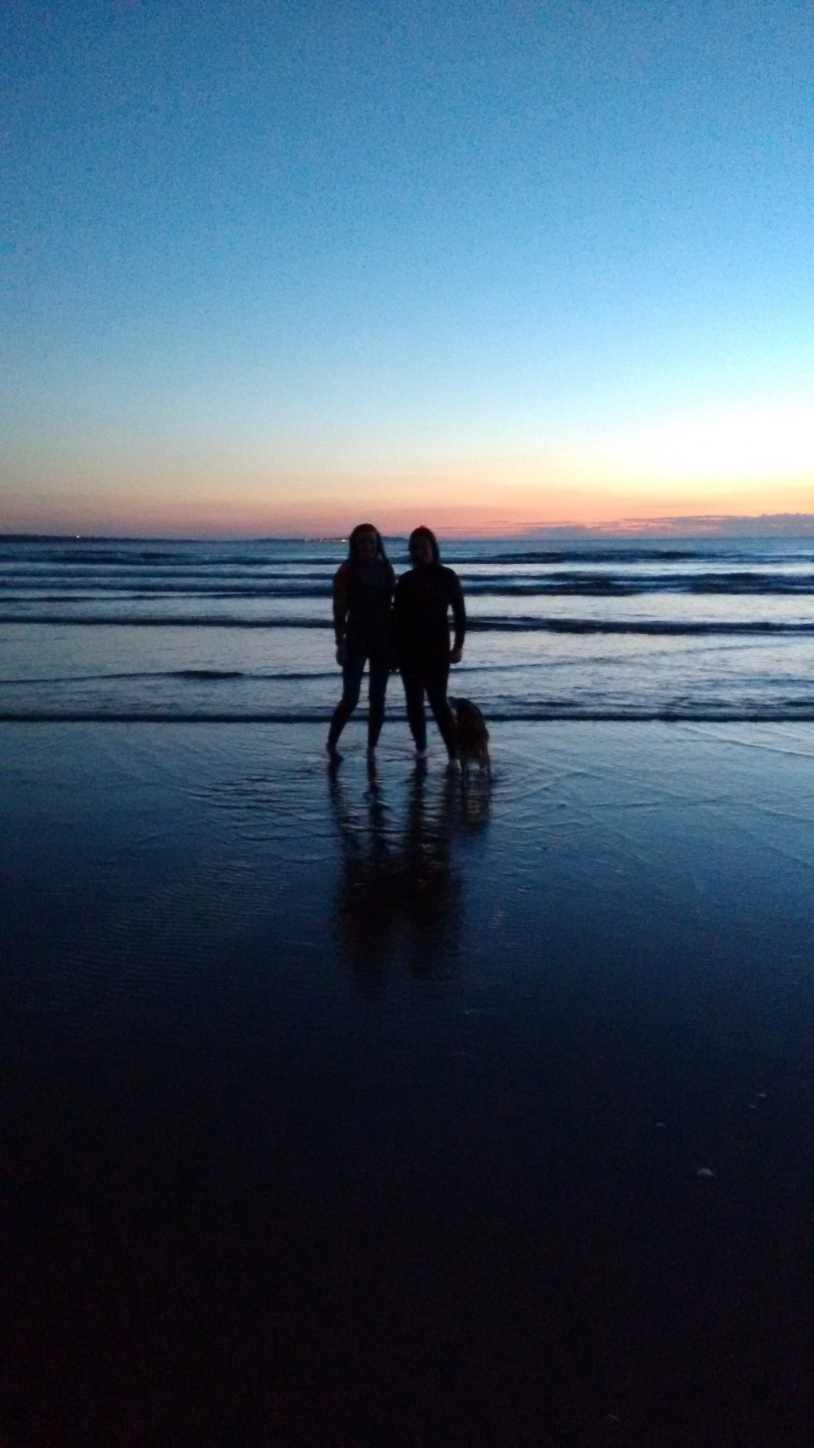Two people and a dog on the shoreline at dusk