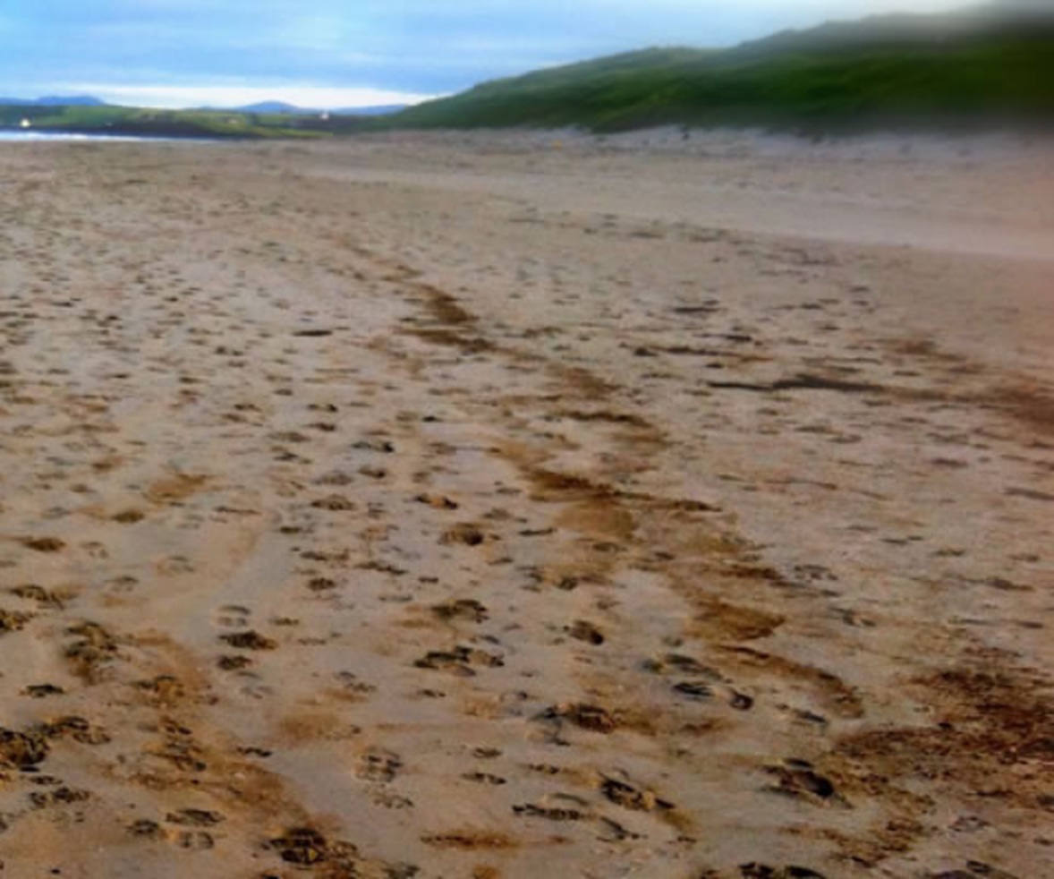 Footprints across a sandy beach